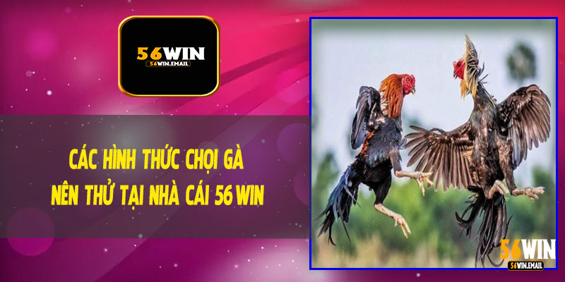 Các Hình Thức Chọi Gà Nên Thử Tại Nhà Cái 56Win