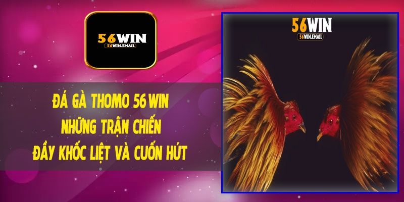 Đá Gà Thomo 56Win - Những Trận Chiến Đầy Khốc Liệt và Cuốn Hút