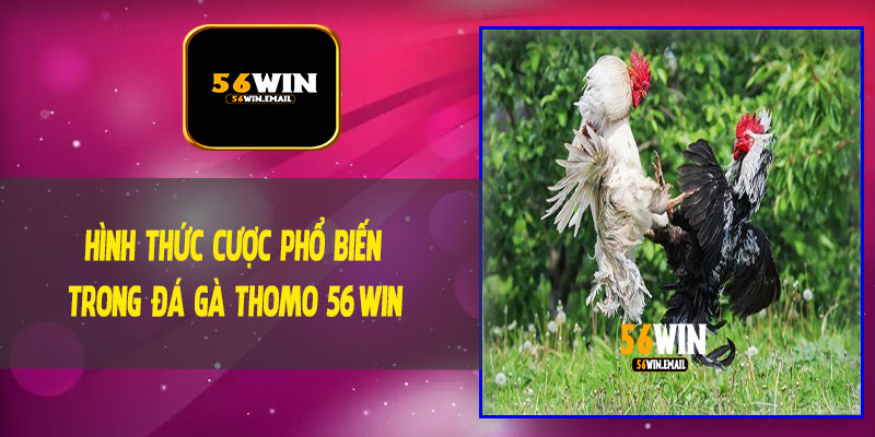Hình Thức Cược Phổ Biến Trong Đá Gà Thomo 56Win