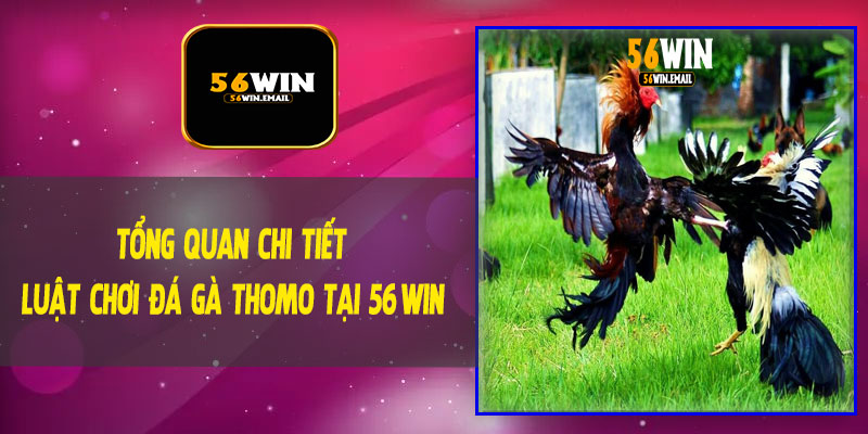 Tổng Quan Chi Tiết Luật Chơi Đá Gà Thomo Tại 56Win